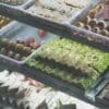 10 Low-Sugar Alternatives to Popular Indian Desserts